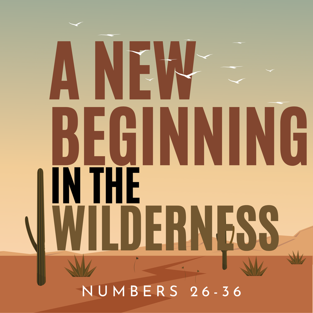 A New Beginning